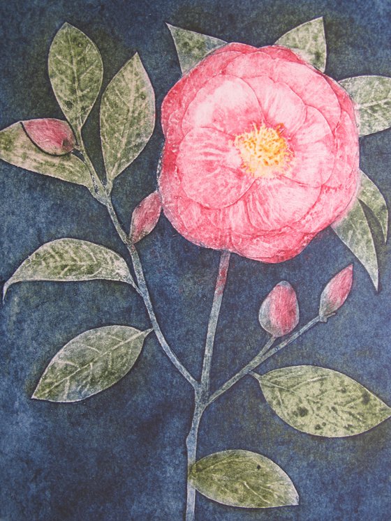 Camellia