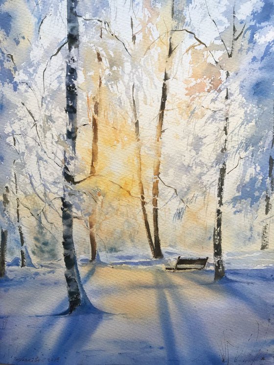 Winter forest in the sunlight - 2