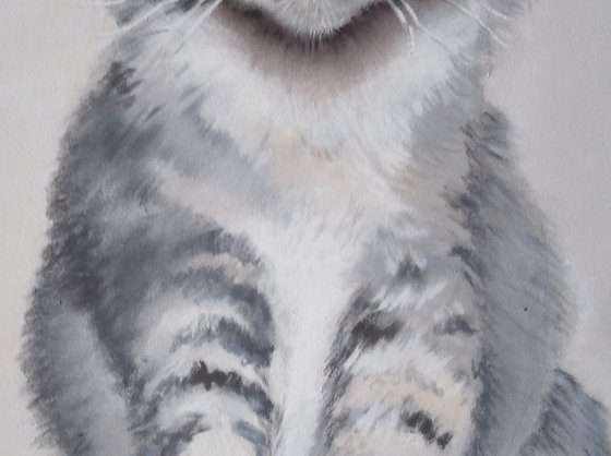 A Cat's Portrait. Emerald Eyes