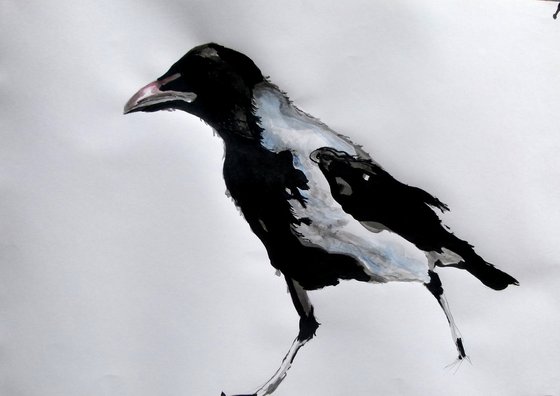 Crow