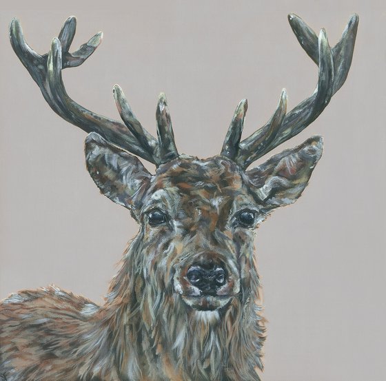 'Hello Deer' Deer Stag Original Painting