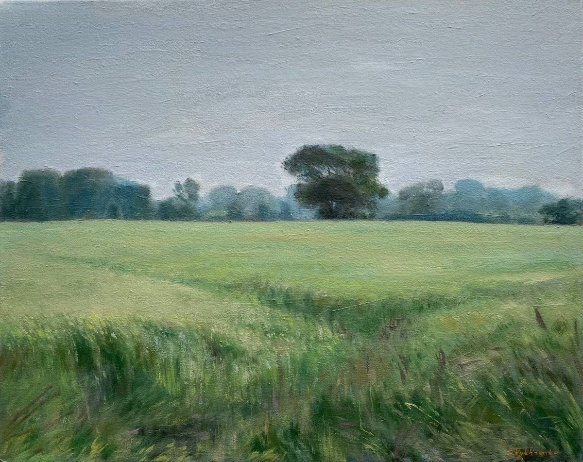 Summer field by Bohdan Vykhrenko