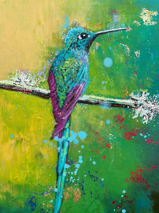 Long tailed Sylph