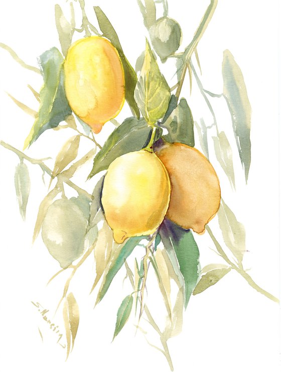 Lemon Tree