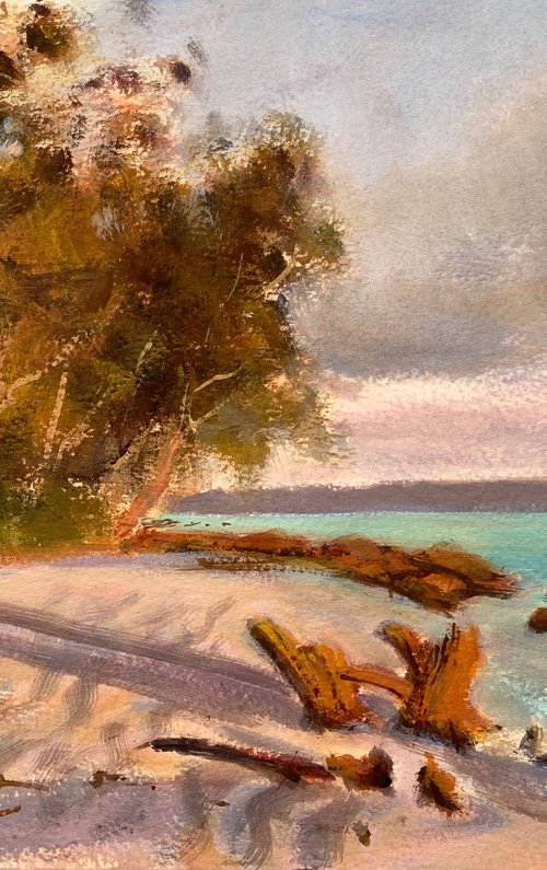 Jervis bay sunrise by Shelly Du