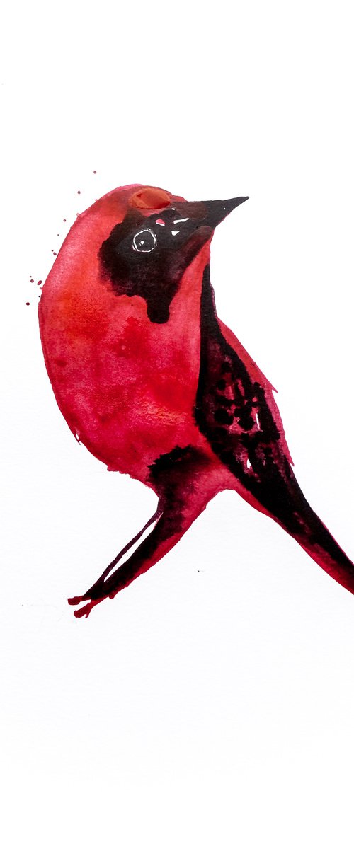 Bird by Nadia Moniatis