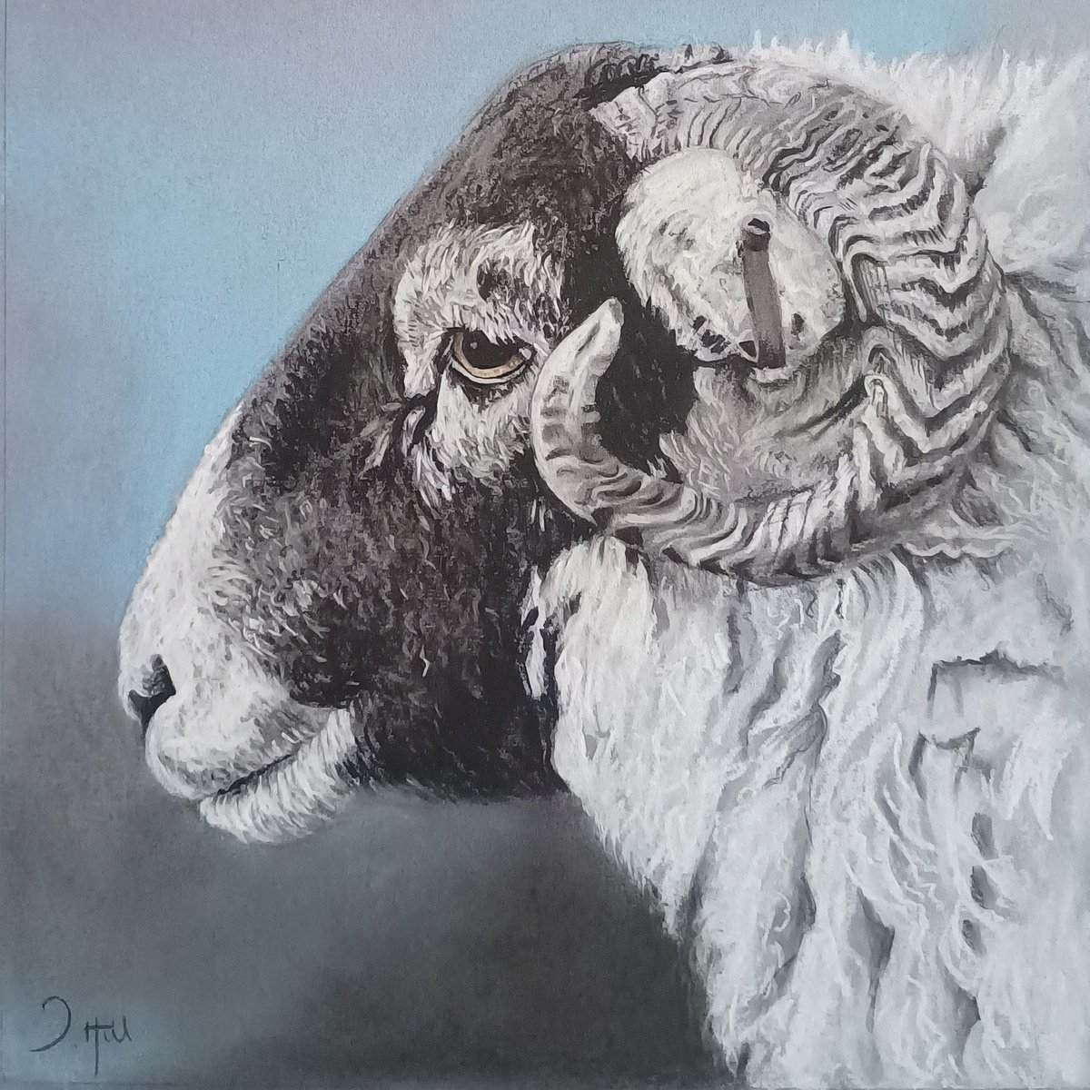 Swaledale beauty by Joanne  Hill