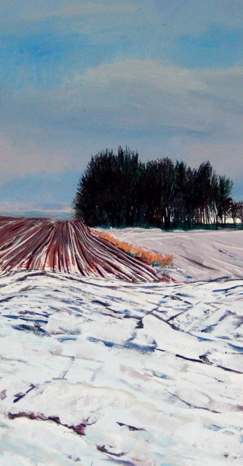 Winter Trees Near Colinsburgh, Fife by Stephen Howard Harrison
