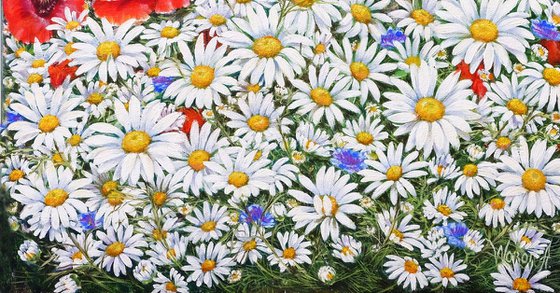 Poppies and Daisies