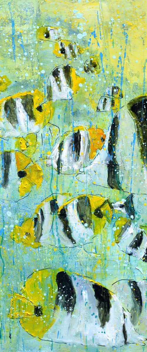 Tropical fish by Pol Henry Ledent