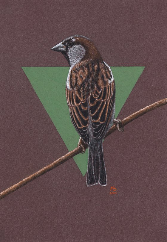 Original pastel drawing "House sparrow"