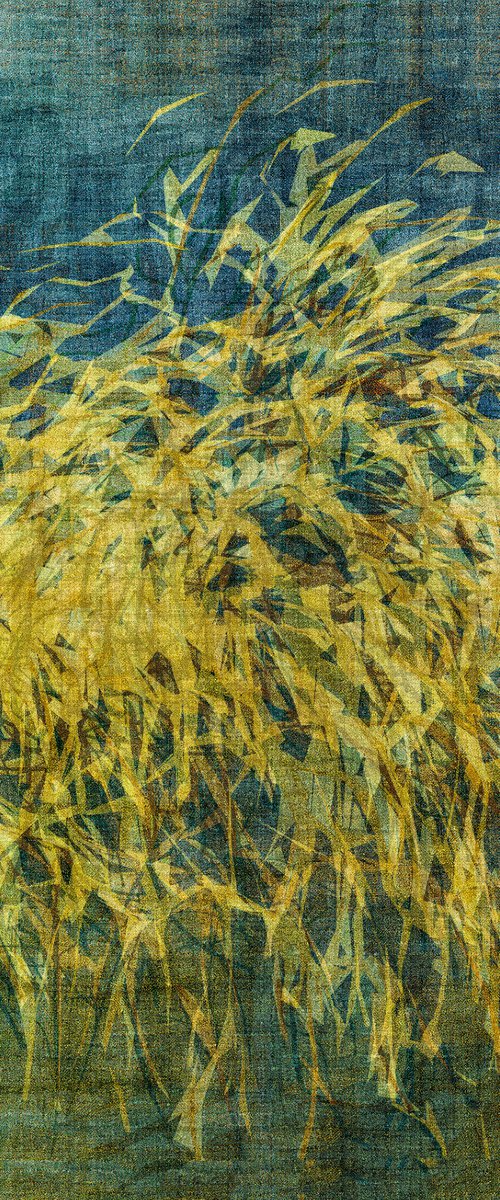 Wananka Pampass Grass  101 x 101cm by George Hall
