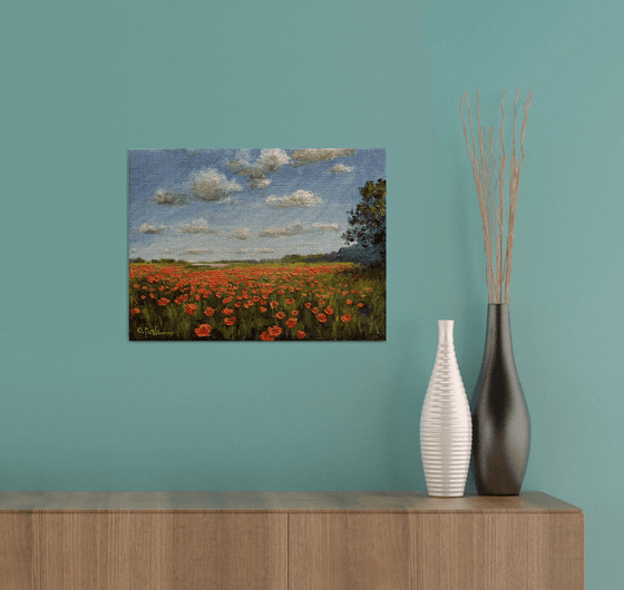 Poppy horizon