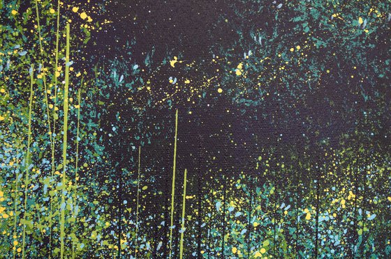 Light Through Trees 1