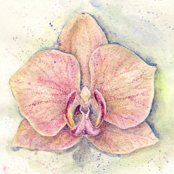 Watercolor orchid flower
