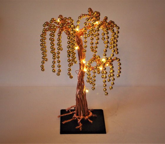 Copper Weeping willow Tree