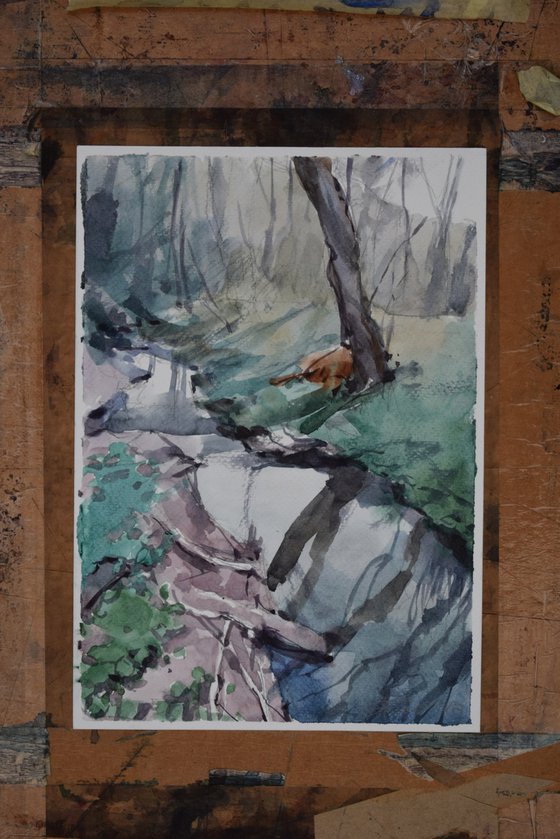 Forest landscape with a creek