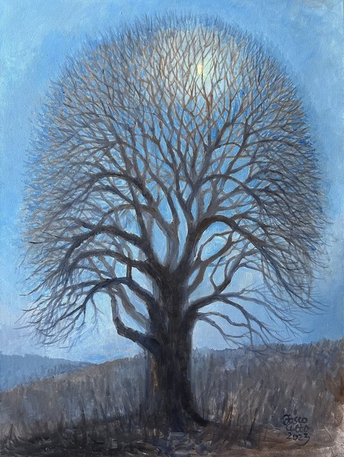 Lonely Tree by Fosco Culto