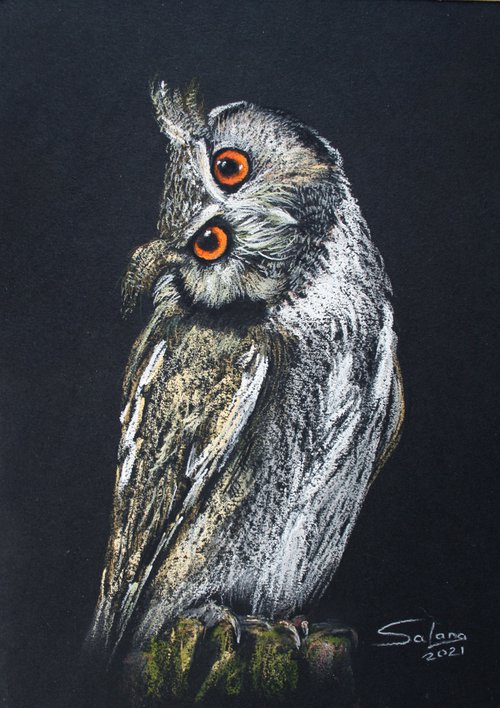 Owl II. Long-eared owl / From my a series of BIRDS / ORIGINAL PAINTING by Salana Art Gallery