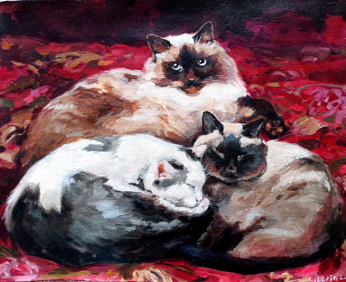 Cats on Japanese blanket by Elena Utkina