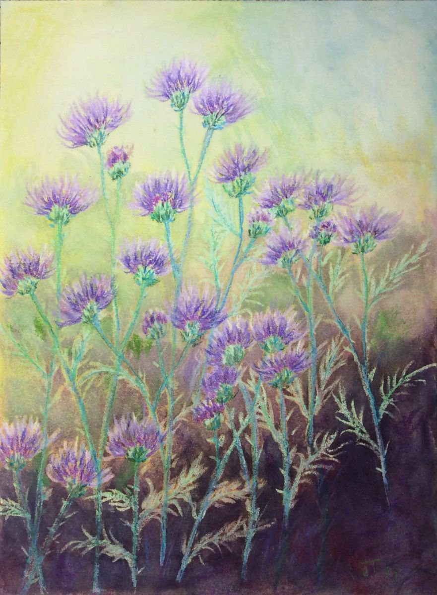 Wild purple flowers by Jing Tian