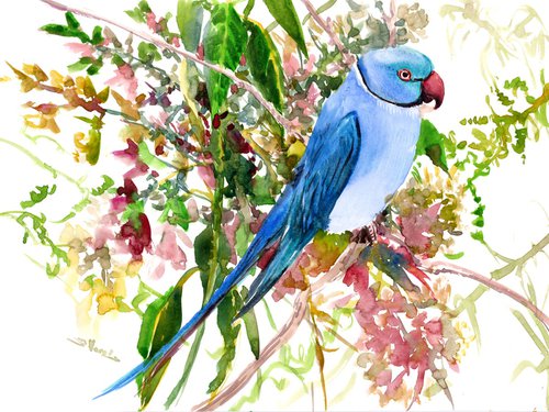 Indian blue ringneck parakeet by Suren Nersisyan