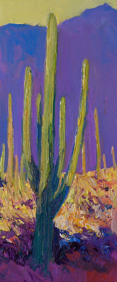 Desert Evening, Saguaros by Suren Nersisyan