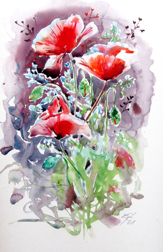 Red poppies collection