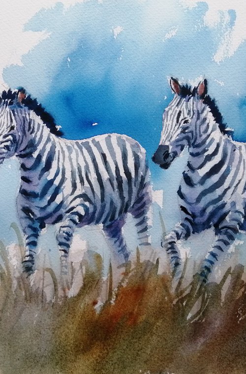 zebras 4 by Giorgio Gosti