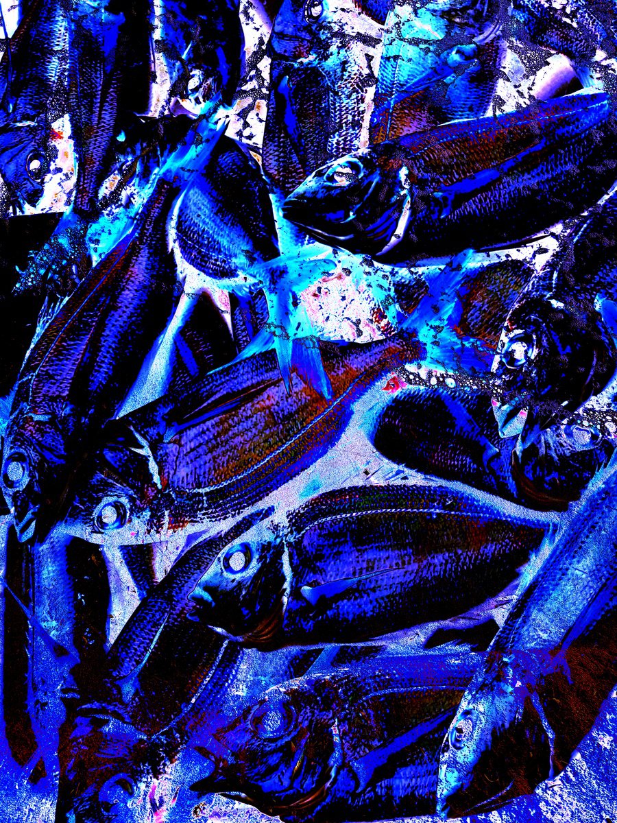 Abstract Animal Giclee Print By Yuliia Sharapova, 17 X 22", Digital Collage Colorful Fish, Original Artwork