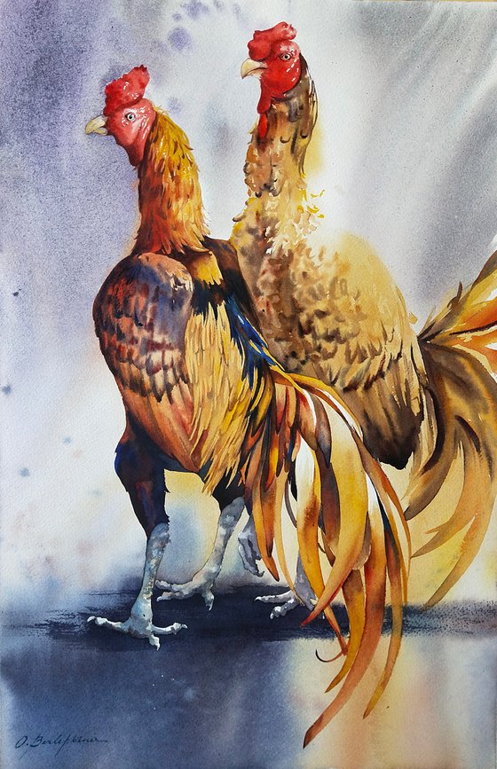 Golden roosters