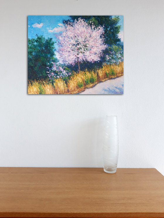 White flowering tree by the road