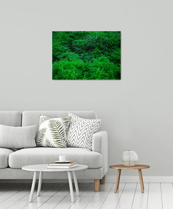 Neglected/Natural Garden in the City | Limited Edition Fine Art Print 1 of 10 | 75 x 50 cm