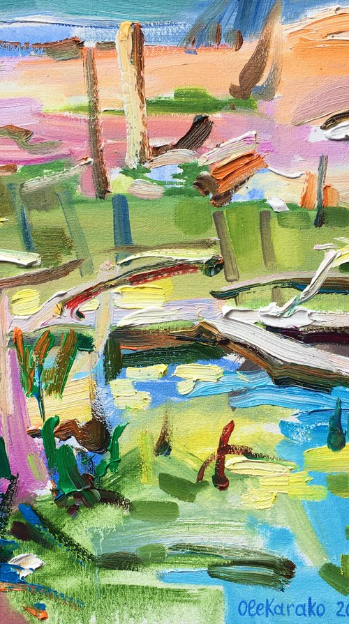 Swamp near the lake by Ole Karako