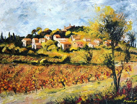 Vineyards in rasteau Provence