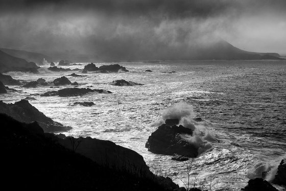 The Wild Big Sur - California