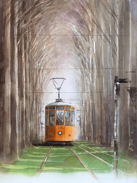 Vintage Tram Passing Through the Tree Tunnel
