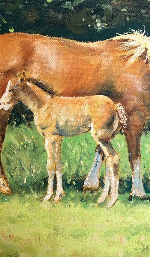 Welsh Cob and Foal by Peter Frost