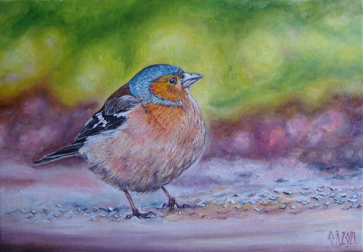 Little bird by Olga Knezevic