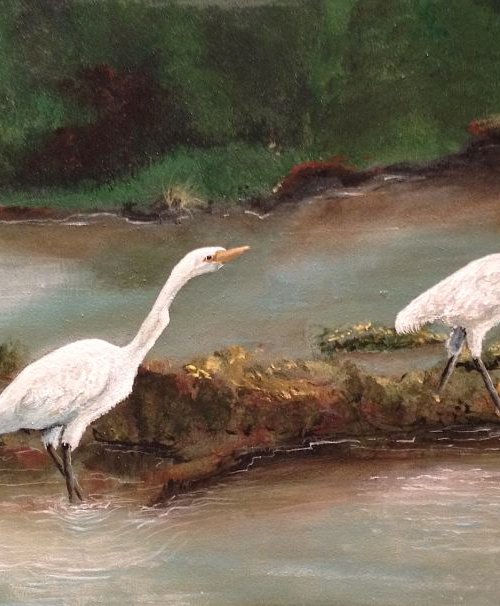 Young Great Egrets by Donna Daniels