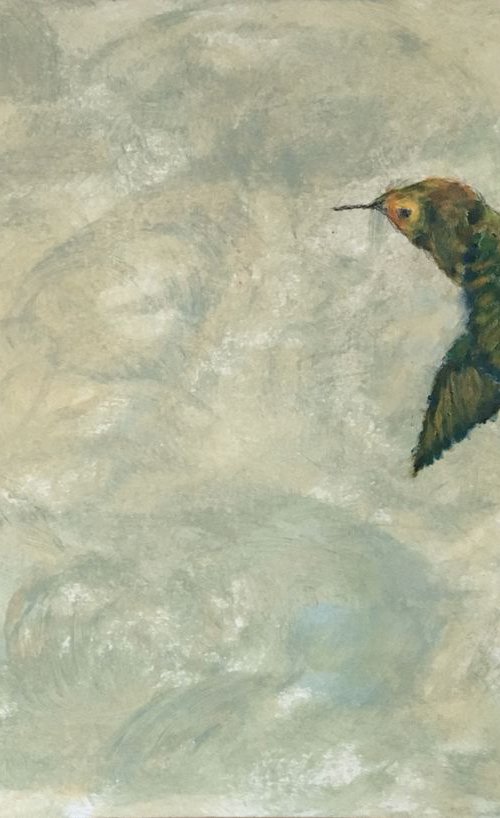 Study of hummingbird b+c by Paola Consonni