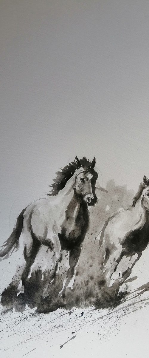horses 15 by Giorgio Gosti