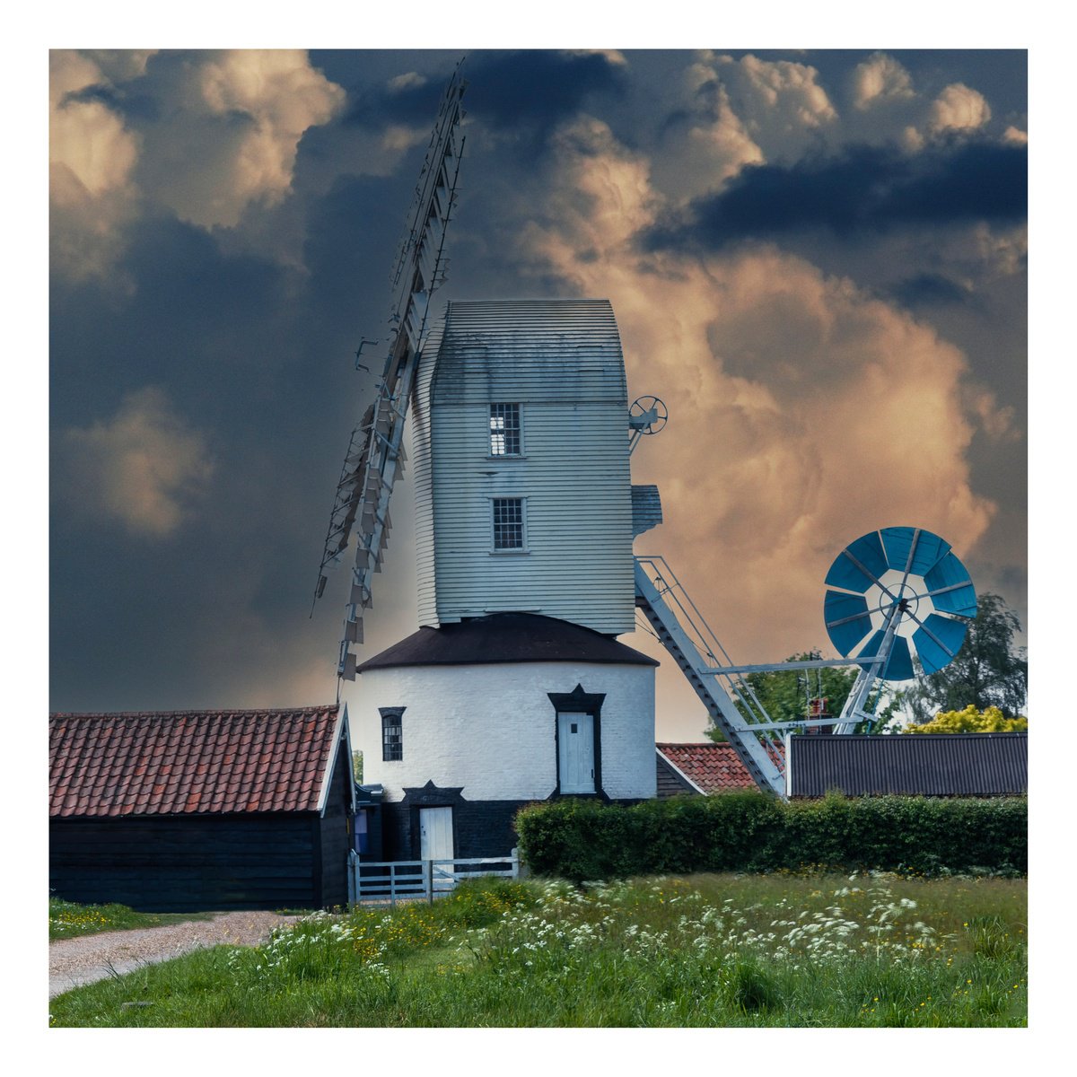 Saxtead Windmill (Colour) by Michael McHugh