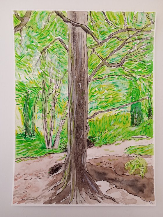 Tree - 7.9 x 5.9 in