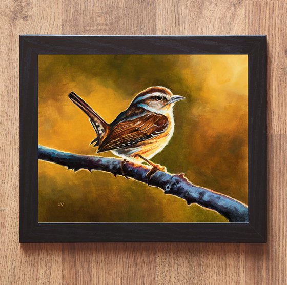 Carolina wren bird at sunset