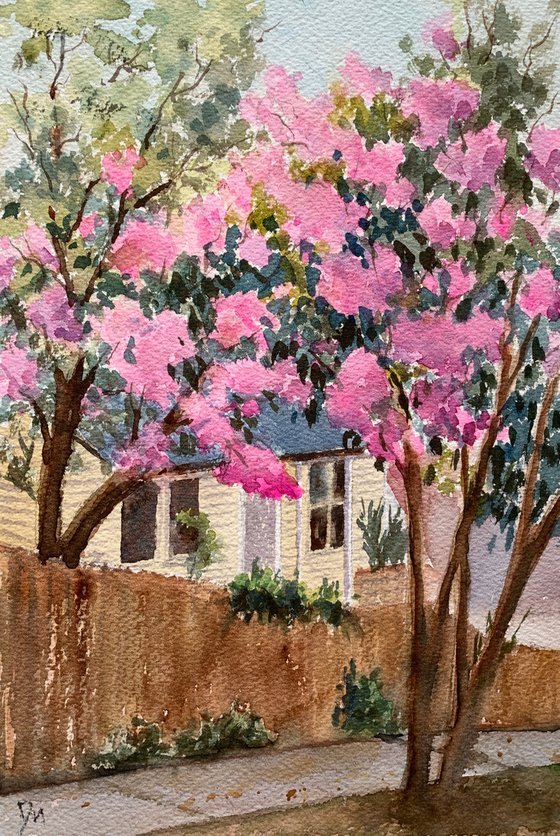 House with Crepe Myrtle