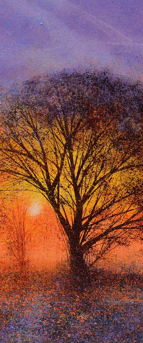 The Big Tree At Sunset by Marc Todd