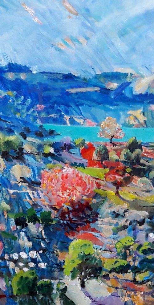Esparron Salade by Chris Walker
