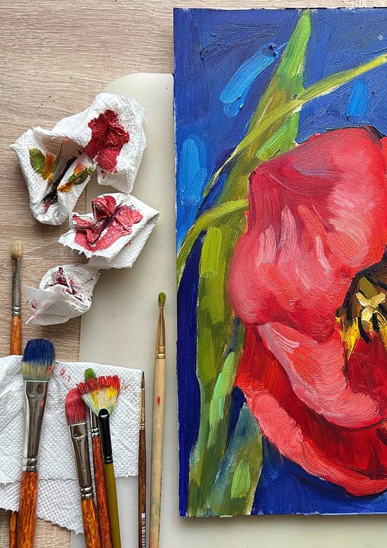 Red tulip