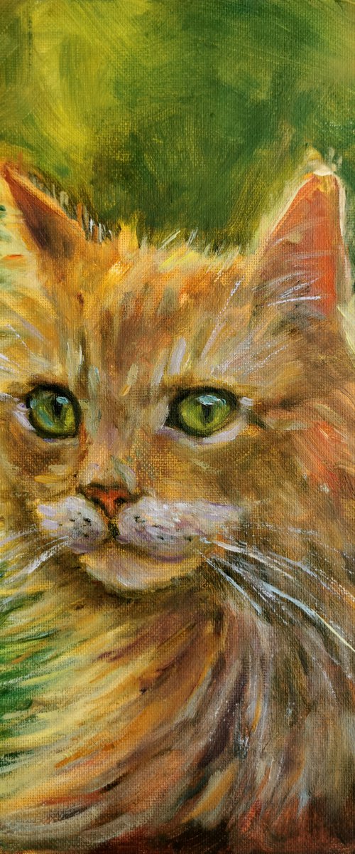 The Orange Cat by Elvira Hilkevich